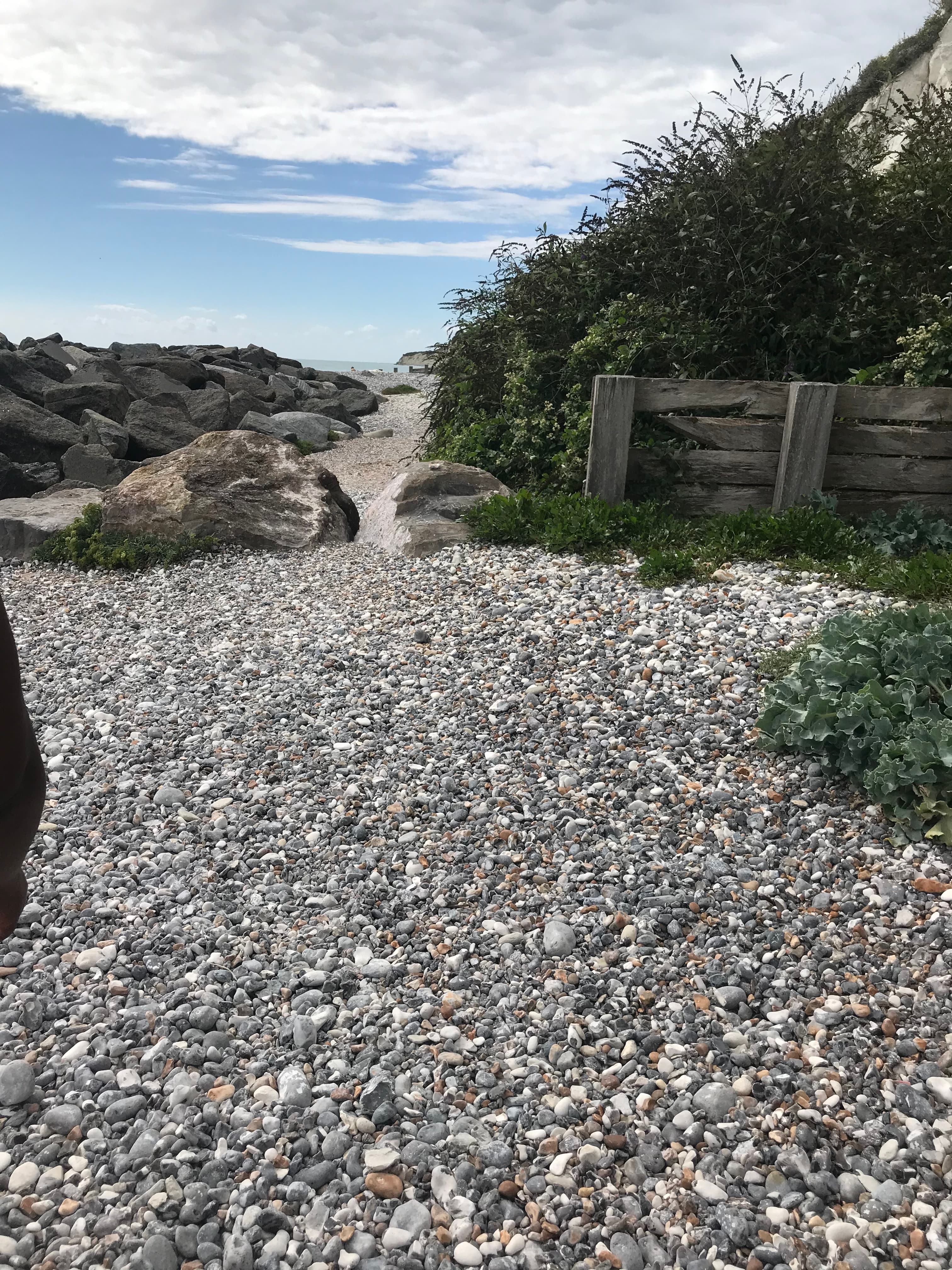 Going on a walk on eastbourne beach with family and friends.